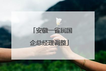 安徽一省属国企总经理调整