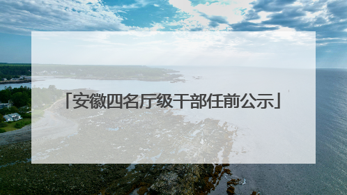 安徽四名厅级干部任前公示