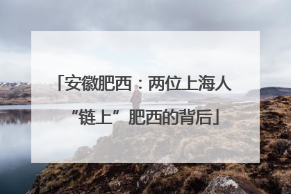 安徽肥西：两位上海人“链上”肥西的背后