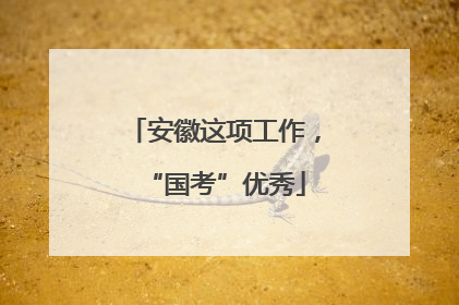 安徽这项工作，“国考”优秀
