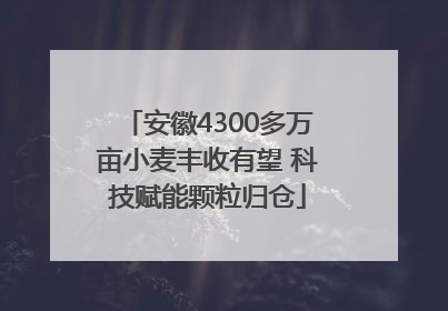安徽4300多万亩小麦丰收有望 科技赋能颗粒归仓