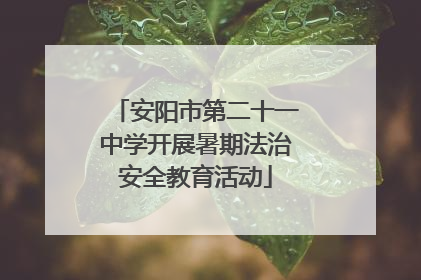 安阳市第二十一中学开展暑期法治安全教育活动