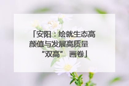 安阳：绘就生态高颜值与发展高质量 “双高” 画卷
