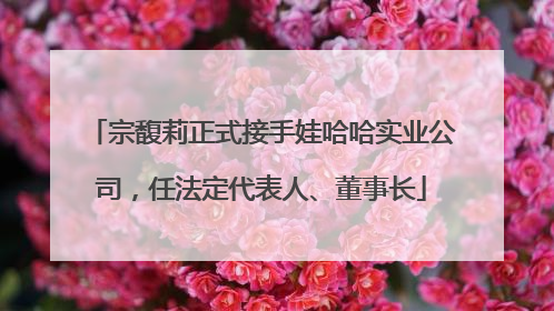 宗馥莉正式接手娃哈哈实业公司，任法定代表人、董事长