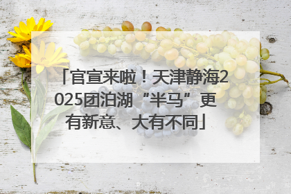官宣来啦！天津静海2025团泊湖“半马”更有新意、大有不同