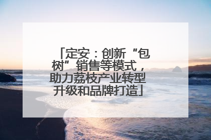 定安：创新“包树”销售等模式，助力荔枝产业转型升级和品牌打造