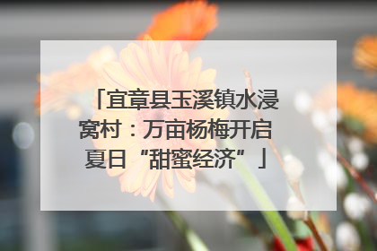 宜章县玉溪镇水浸窝村：万亩杨梅开启夏日“甜蜜经济”