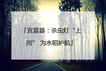 宜章县：杀虫灯“上岗” 为水稻护航