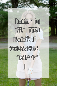 宜章：闻“汛”而动 政企携手为烟农撑起“保护伞”