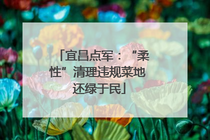宜昌点军：“柔性”清理违规菜地 还绿于民