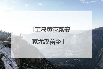 宝岛黄花菜安家尤溪畲乡