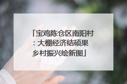 宝鸡陈仓区南阳村：大棚经济结硕果 乡村振兴绘新图