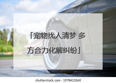 宠物扰人清梦 多方合力化解纠纷