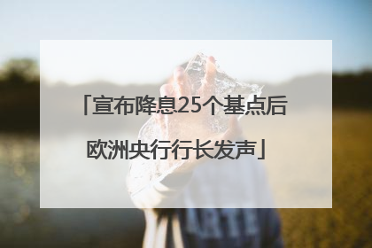 宣布降息25个基点后 欧洲央行行长发声