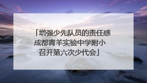 增强少先队员的责任感 成都青羊实验中学附小召开第六次少代会
