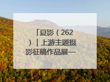 夏影（262）｜上游主题摄影征稿作品展——黄红专作品