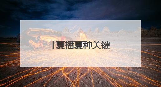 夏播夏种关键期，范县释放强劲“水动力”