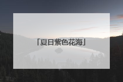 夏日紫色花海