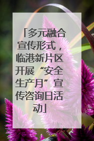 多元融合宣传形式，临港新片区开展“安全生产月”宣传咨询日活动