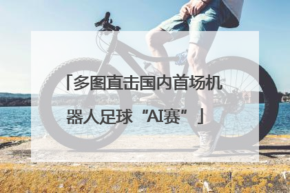 多图直击国内首场机器人足球“AI赛”