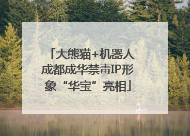 大熊猫+机器人 成都成华禁毒IP形象“华宝”亮相