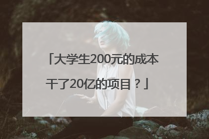 大学生200元的成本干了20亿的项目？