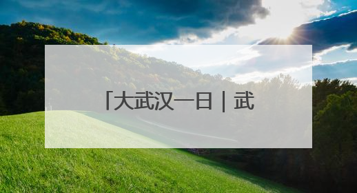 大武汉一日｜武汉地铁上，满满一车全是“宝贝”