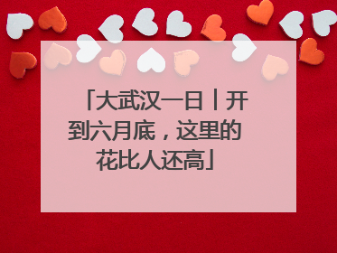 大武汉一日︱开到六月底，这里的花比人还高