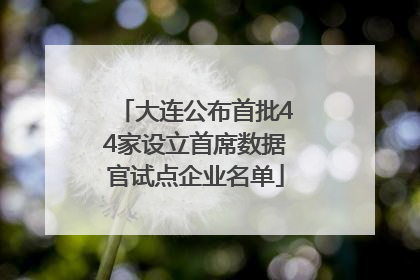 大连公布首批44家设立首席数据官试点企业名单