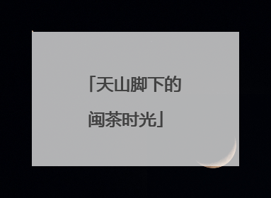 天山脚下的闽茶时光