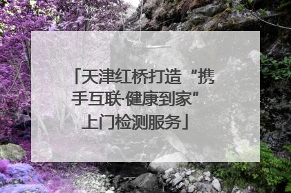 天津红桥打造“携手互联·健康到家”上门检测服务