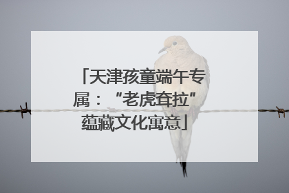 天津孩童端午专属：“老虎耷拉”蕴藏文化寓意