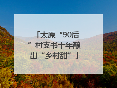 太原“90后”村支书十年酿出“乡村甜”