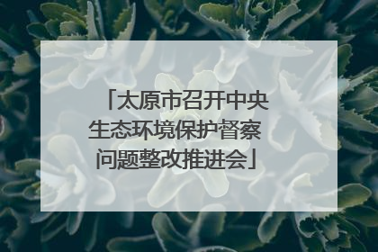 太原市召开中央生态环境保护督察问题整改推进会