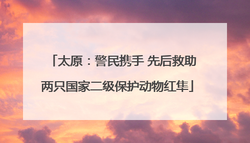 太原：警民携手 先后救助两只国家二级保护动物红隼