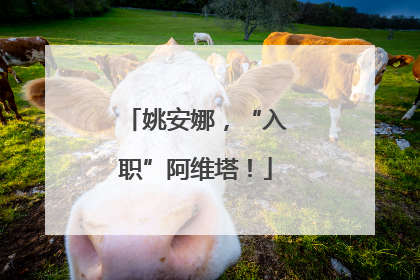 姚安娜，“入职”阿维塔！