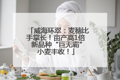 威海环翠：麦穗比手掌长！亩产高1倍 新品种“巨无霸”小麦丰收！