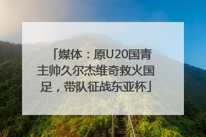 媒体：原U20国青主帅久尔杰维奇救火国足，带队征战东亚杯