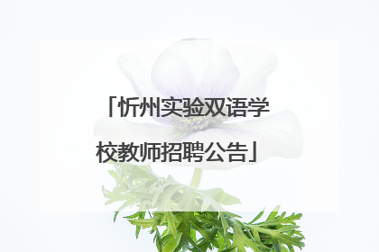 忻州实验双语学校教师招聘公告