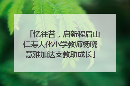 忆往昔，启新程眉山仁寿大化小学教师杨晓慧雅加达支教助成长
