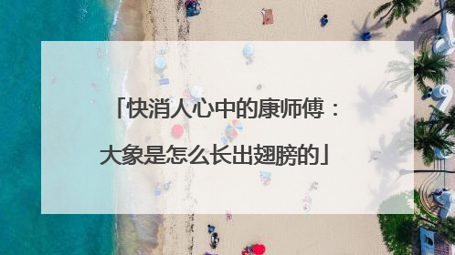 快消人心中的康师傅：大象是怎么长出翅膀的