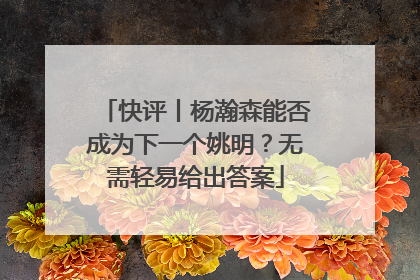 快评丨杨瀚森能否成为下一个姚明？无需轻易给出答案