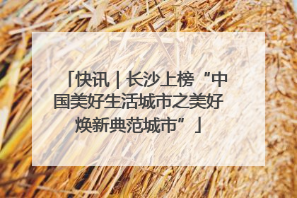 快讯｜长沙上榜“中国美好生活城市之美好焕新典范城市”