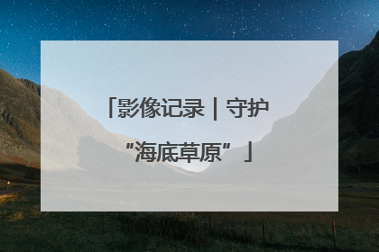 影像记录｜守护“海底草原”