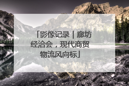 影像记录｜廊坊经洽会，现代商贸物流风向标