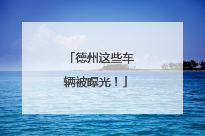 德州这些车辆被曝光！