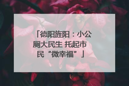 德阳旌阳：小公厕大民生 托起市民“微幸福”