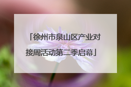 徐州市泉山区产业对接周活动第二季启幕