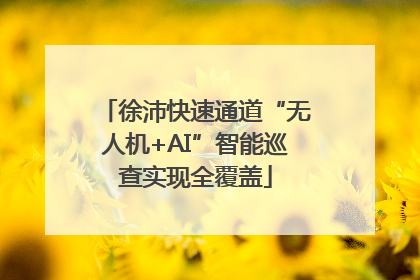 徐沛快速通道“无人机+AI”智能巡查实现全覆盖