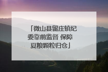 微山县留庄镇纪委靠前监督 保障夏粮颗粒归仓